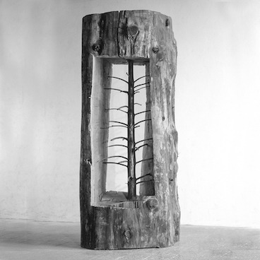 Giuseppe Penone Giuseppe Penone