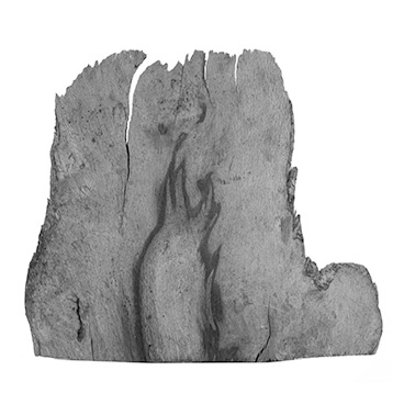 Flame David Nash Flame David Nash