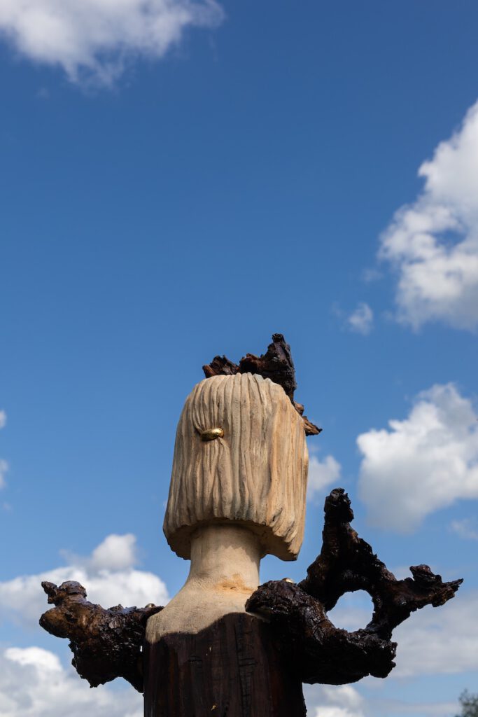 The Willow Crown, achterzijde
