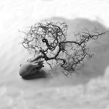 Gregor Prugger heeft een hart van hout