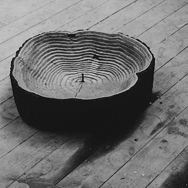 Ook Antony Gormley begon met hout